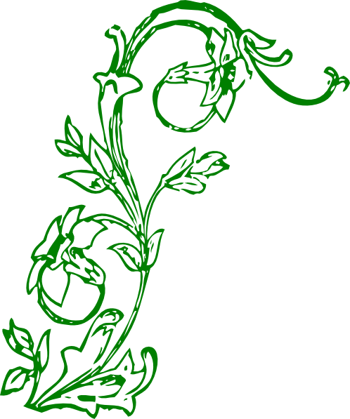 Flowering Vine Clipart Png For Web (498x597), Png Download
