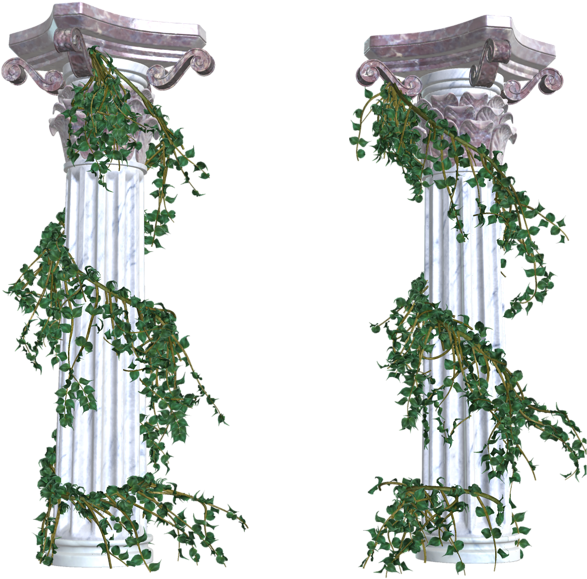 0, - Vines Transparent Png (596x600), Png Download