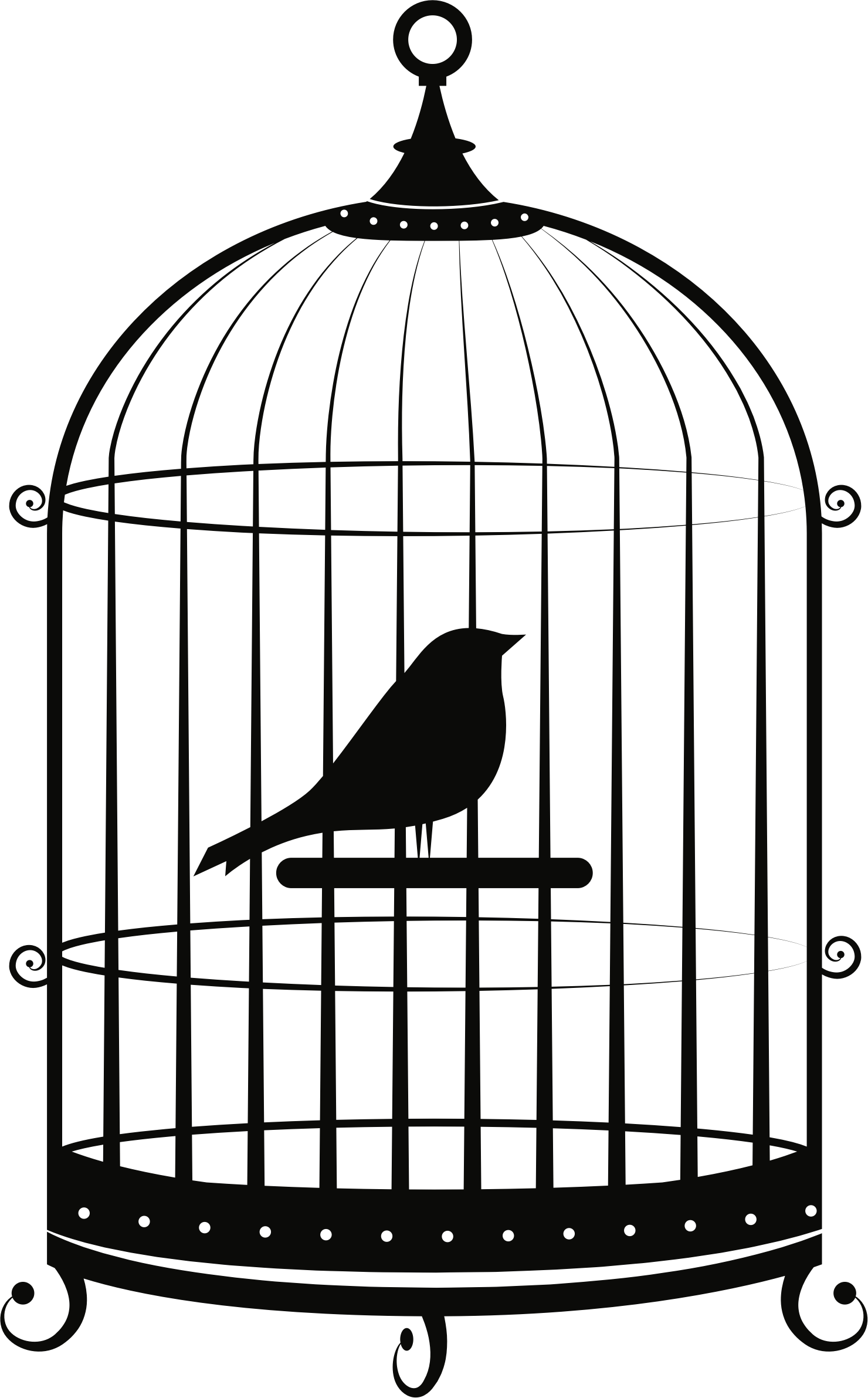 Cage Png Clip Freeuse Stock - Bird In Cage Png (1480x2383), Png Download