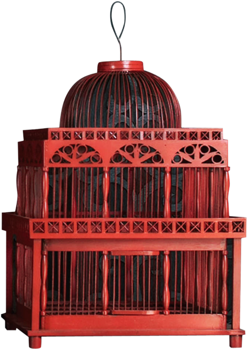 Cage (800x800), Png Download