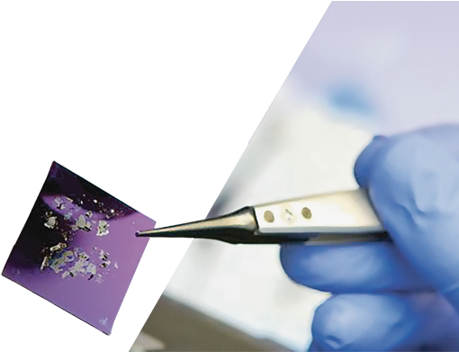 A Slide Holding Some Of The Wonder Material Graphene - Business (555x390), Png Download