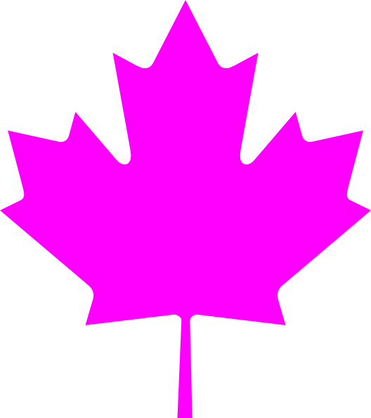 Pink Leaf Png - Canada Flag (528x595), Png Download