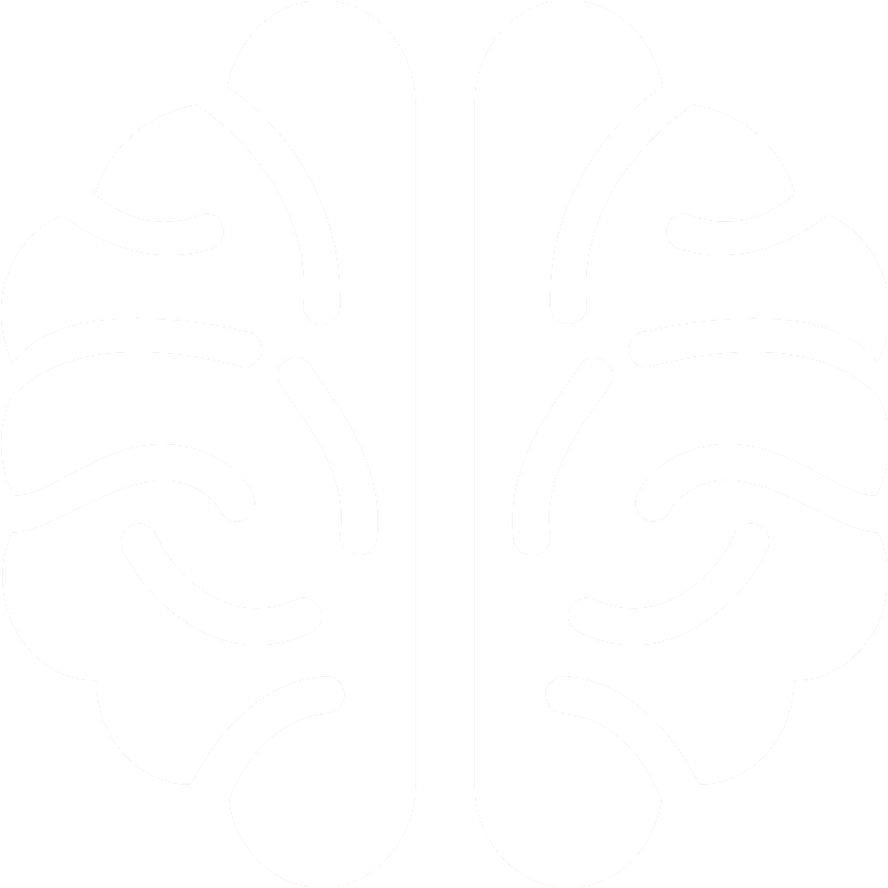 The Brain - Human Brain (800x800), Png Download