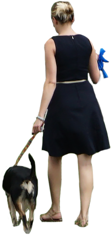 Woman Dress Dog Walking - Walking Dog Cut Out (415x571), Png Download