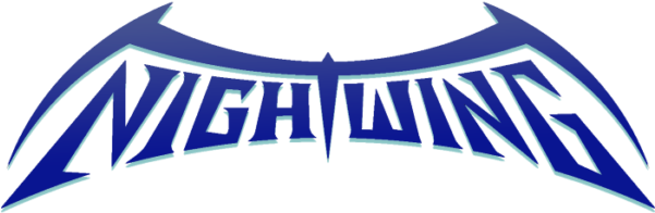 Dc - Nightwing Workout (600x257), Png Download