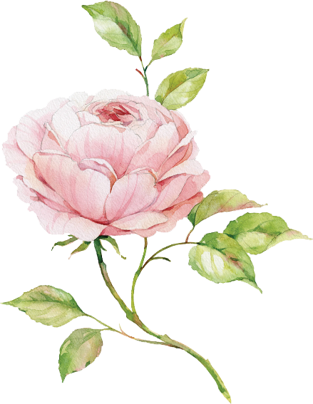 That Unique Rose - Lesser & Pavey Lp91776 Heart Rose Large Tray (439x567), Png Download