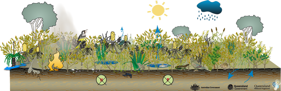 Wet - Dry - Science (900x292), Png Download