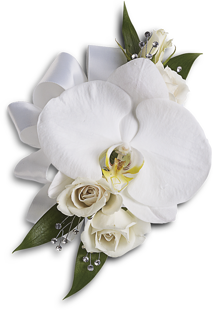 Download Hd White Wedding Flowers Png White Phalaenopsis Orchid Corsage Transparent Png Image Nicepng Com