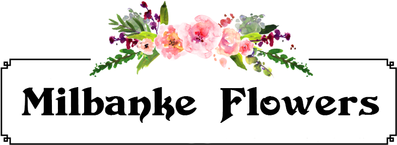 Milbanke Flowers, Ltd - Found By Create Leeds (884x332), Png Download