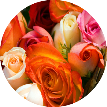 Every Girl Dreams Of Her Perfect Wedding Day Since - Flower (350x350), Png Download