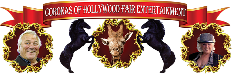 Placeholder Image - Hollywood (799x256), Png Download