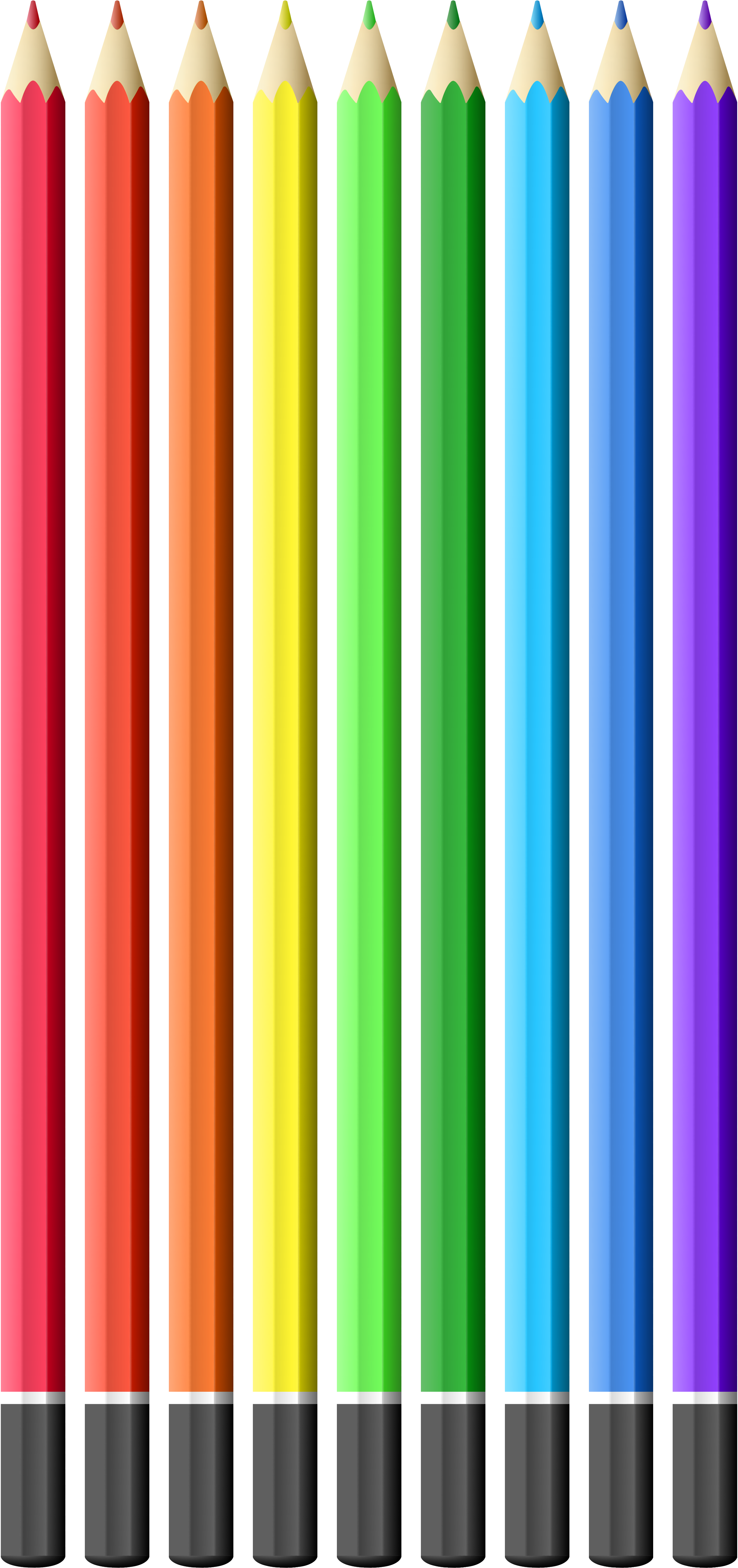 Colored Pencils Png Clip Art - Coloured Pencils Clipart Png (2821x5846), Png Download
