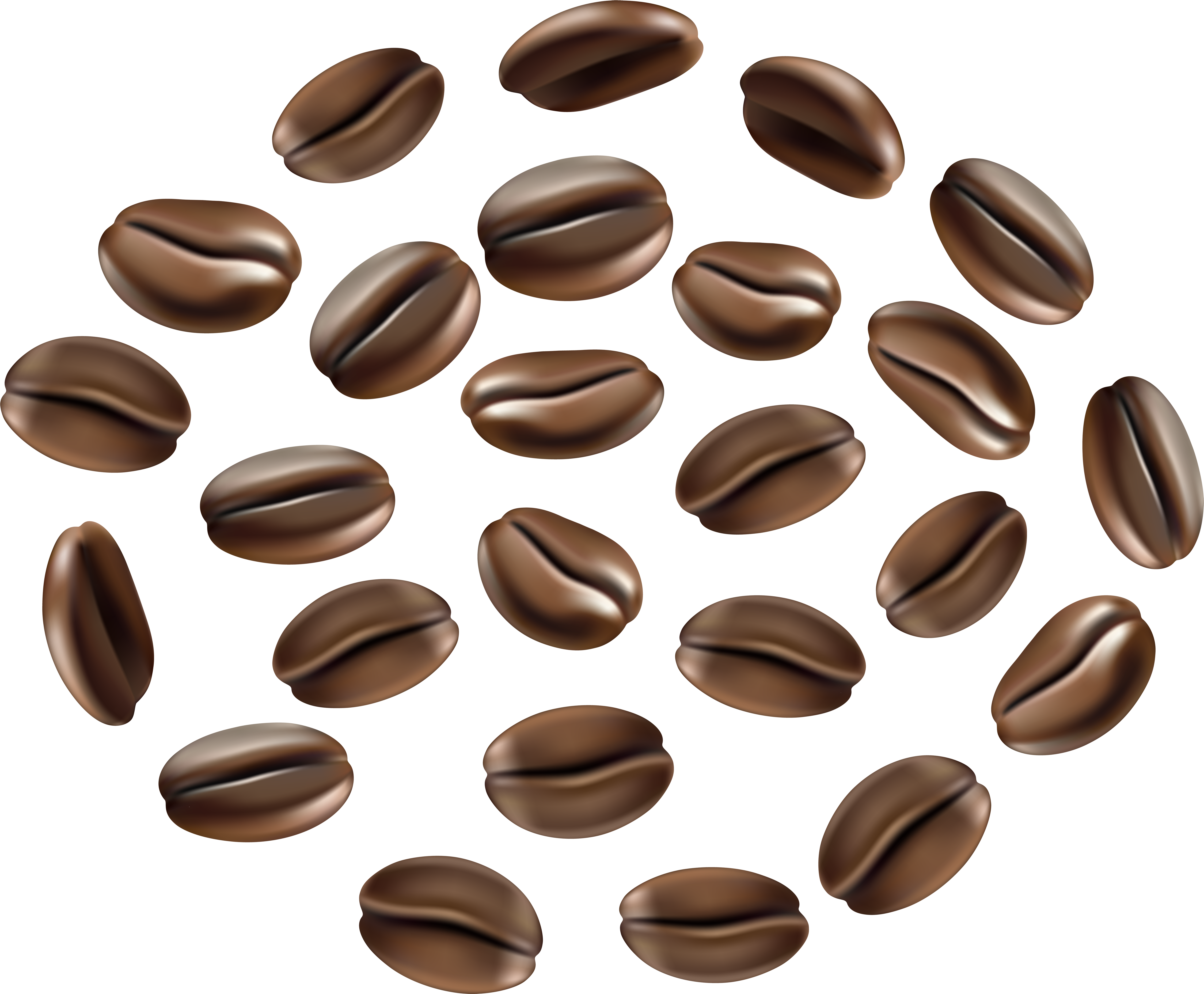 Coffee Seeds Png (7000x5777), Png Download