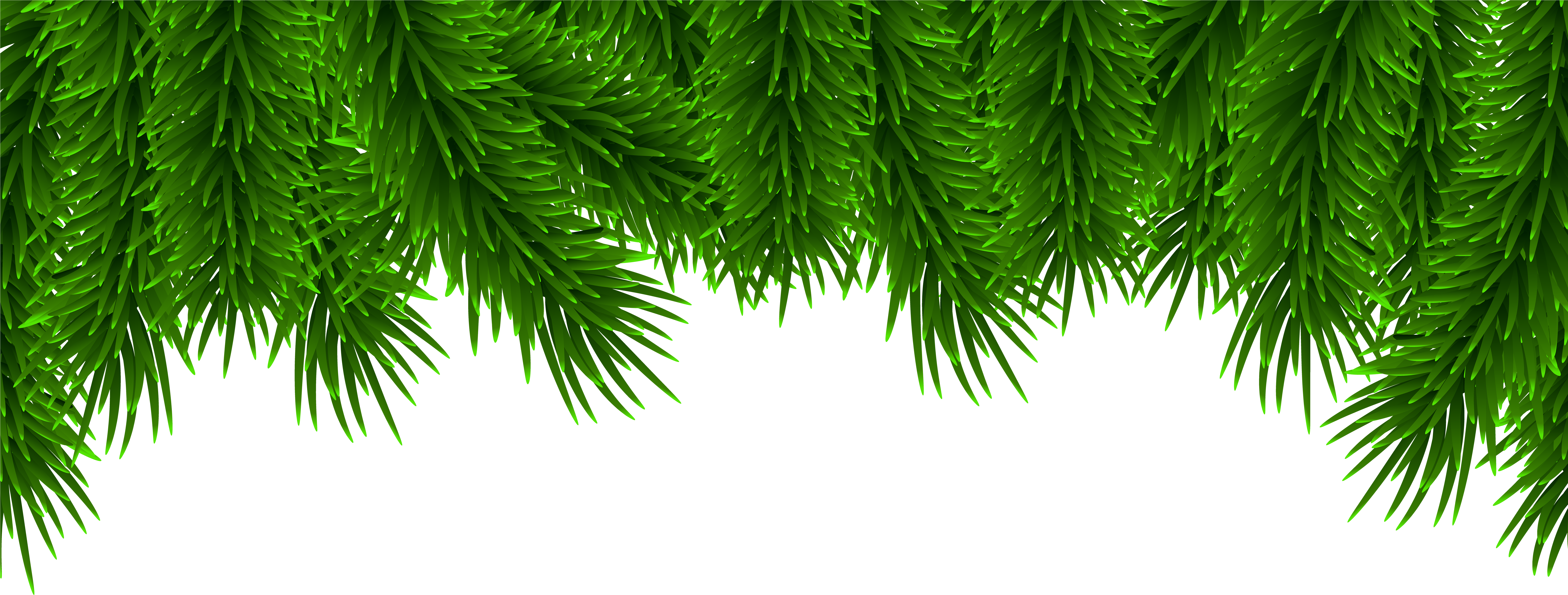 Christmas Pine Clip Art (8000x3248), Png Download
