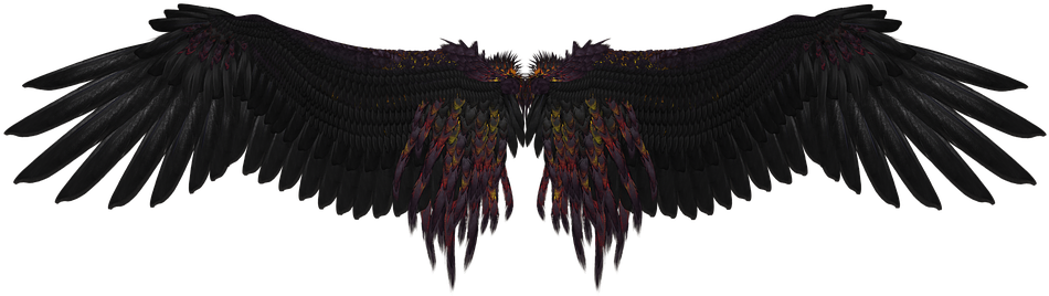 Black Angel Wings Png Background Image - Wings Png (960x640), Png Download