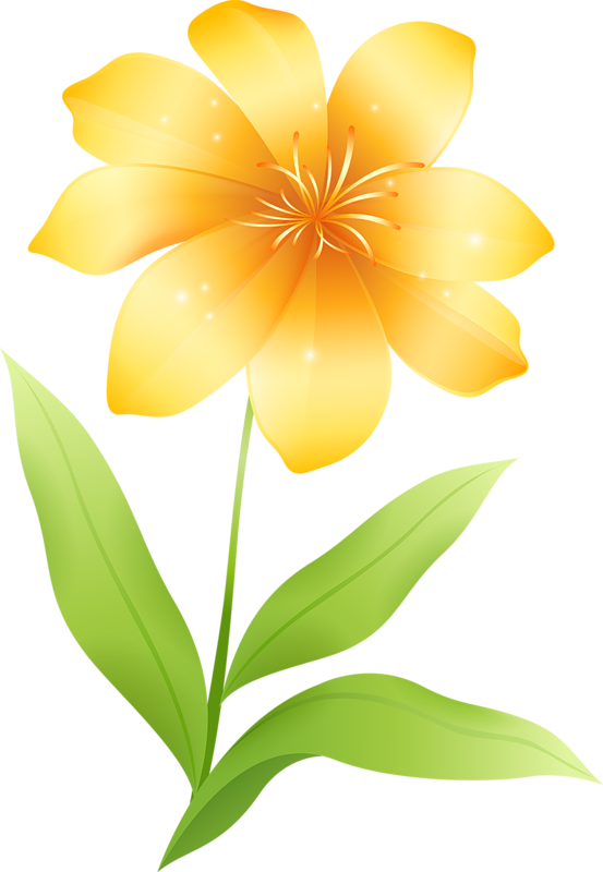 Png Flower Clip Art (553x800), Png Download