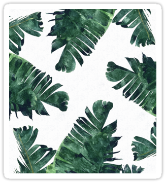 'banana Leaf - White And Green Background (375x360), Png Download