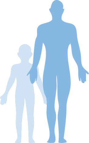 Human Body - Body Of Human Png (291x468), Png Download