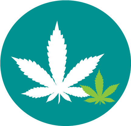 Two Cannabis Leaves Choose How You Use - 4/20 Bunnies #rageon420contest (432x432), Png Download