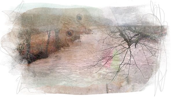 3/19/08 Update (591x340), Png Download