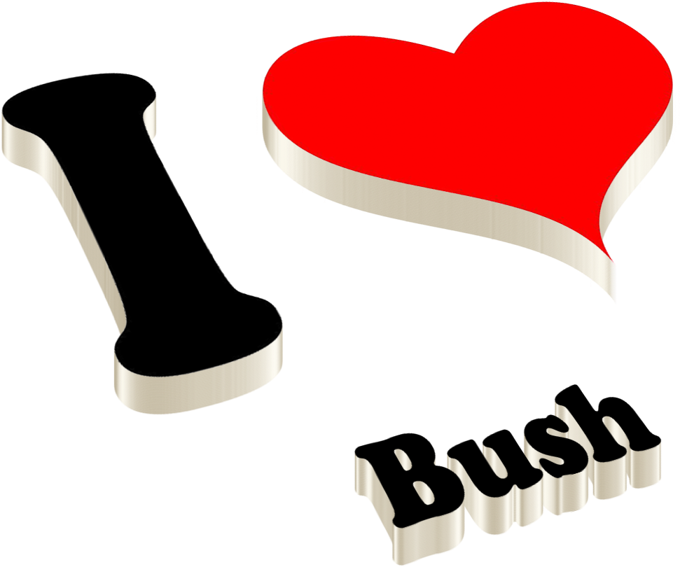Bush Png Photo - Golu Name (1360x955), Png Download