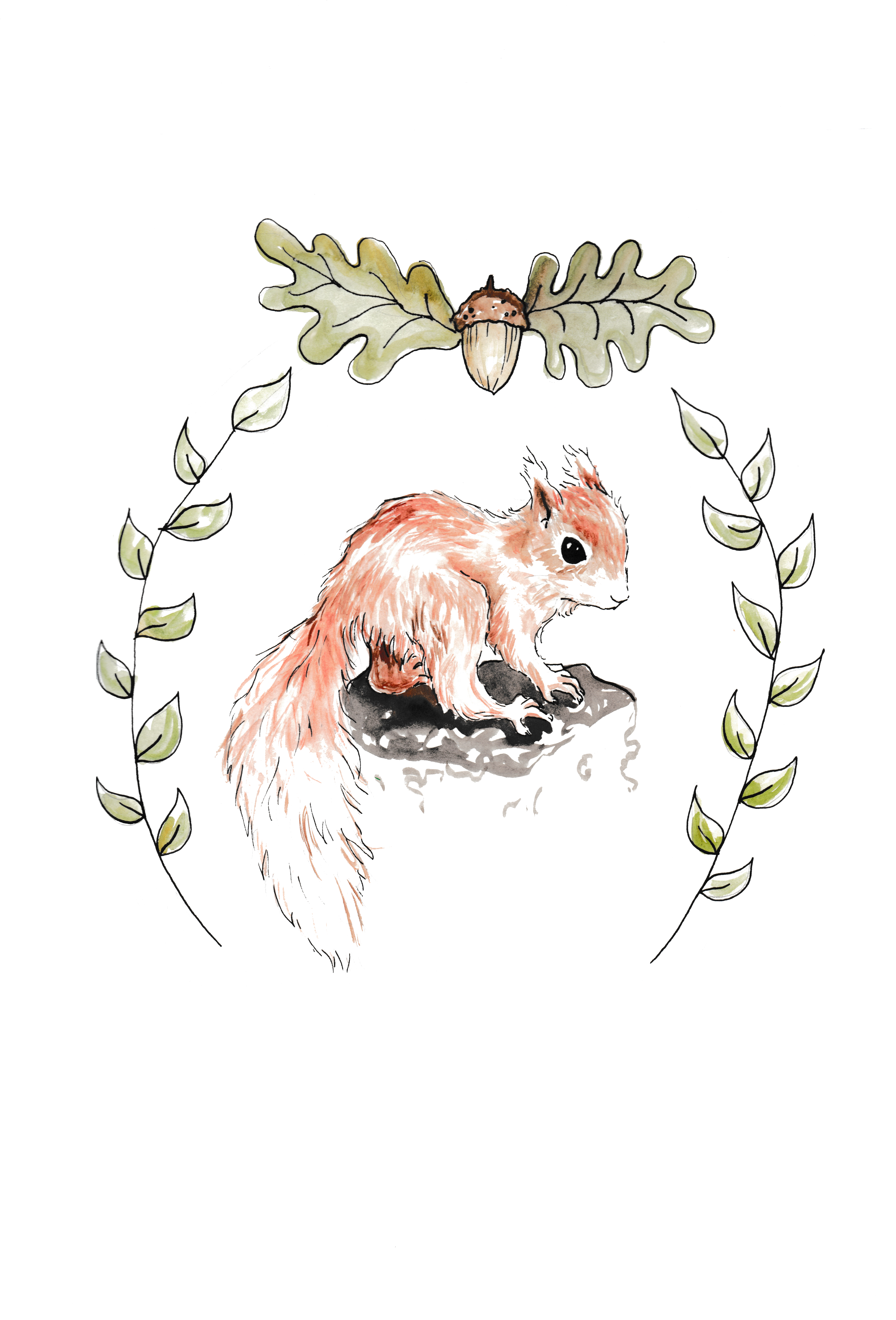 Baby Squirrel - Squirrel (5100x7008), Png Download
