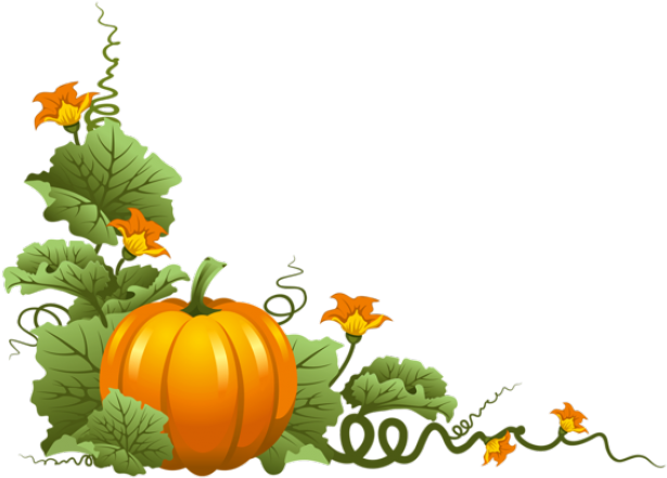 Vine Clipart Thanksgiving - Pumpkin Clip Art (640x480), Png Download