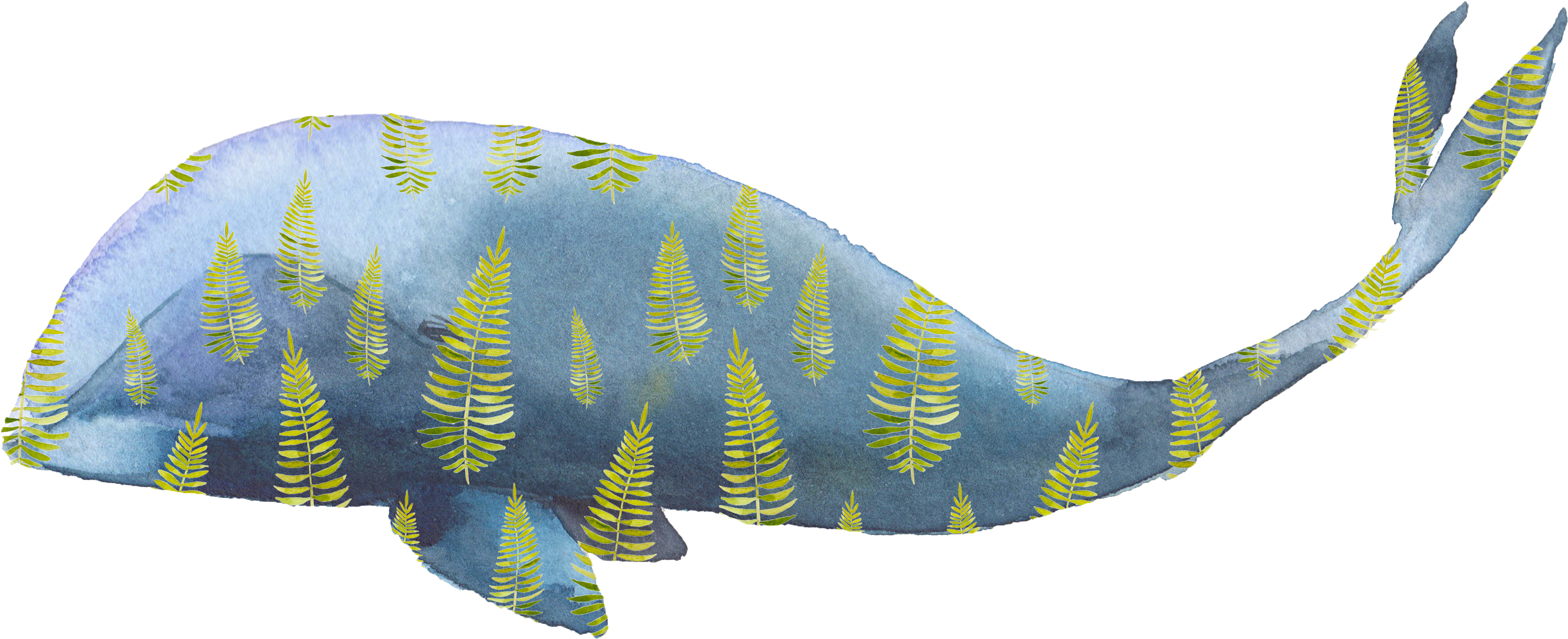 Watercolor Painting Whale Illustration - Акварельные Переводные Тату Miami Tattoos Whales, 1 (4000x2313), Png Download