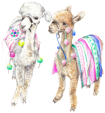 Colorful Baby Alpacas Llamas India Morocco Ltd Edition - Animal Boho (500x500), Png Download