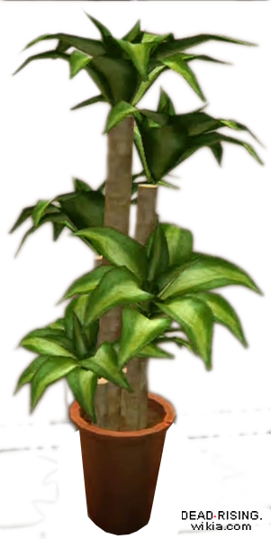 Dead Rising Potted Plant 6 - Potted Plants Png File (301x598), Png Download