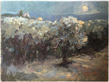 Vineyard Drawing Watercolor - Vineyard (736x460), Png Download