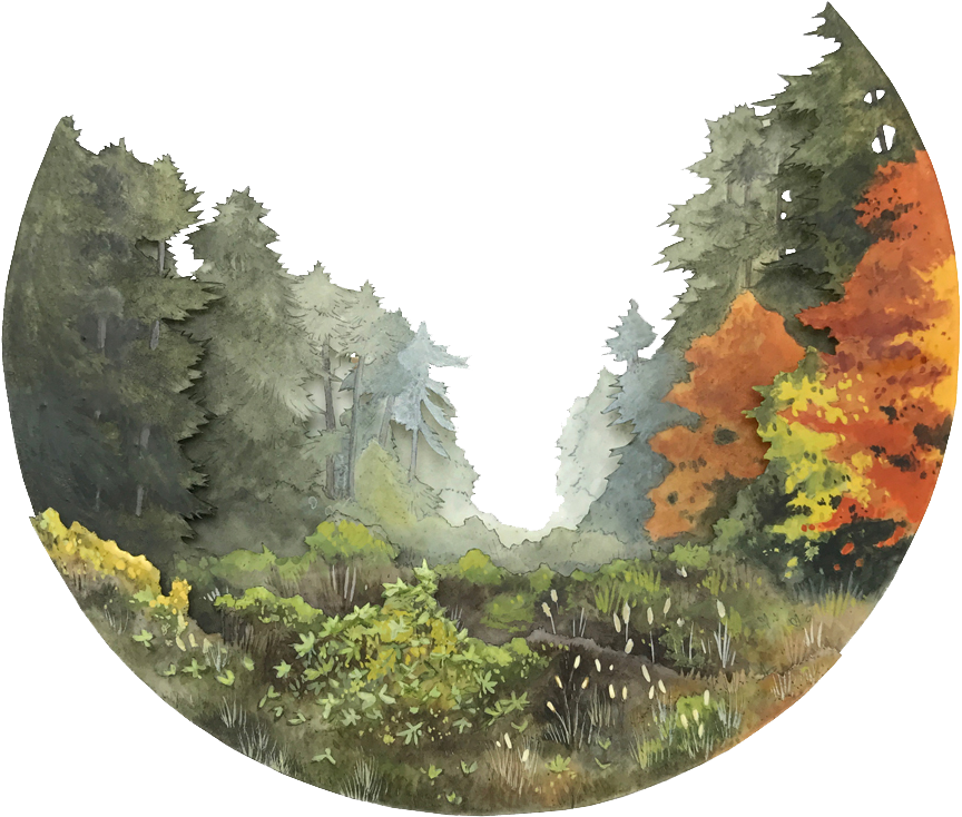 South Berwick, Me, (1000x1000), Png Download