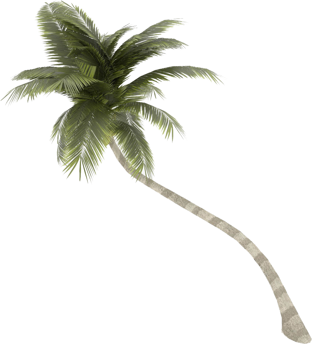 Palm Trees Png (1200x1200), Png Download