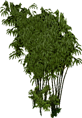 Bamboo (403x403), Png Download