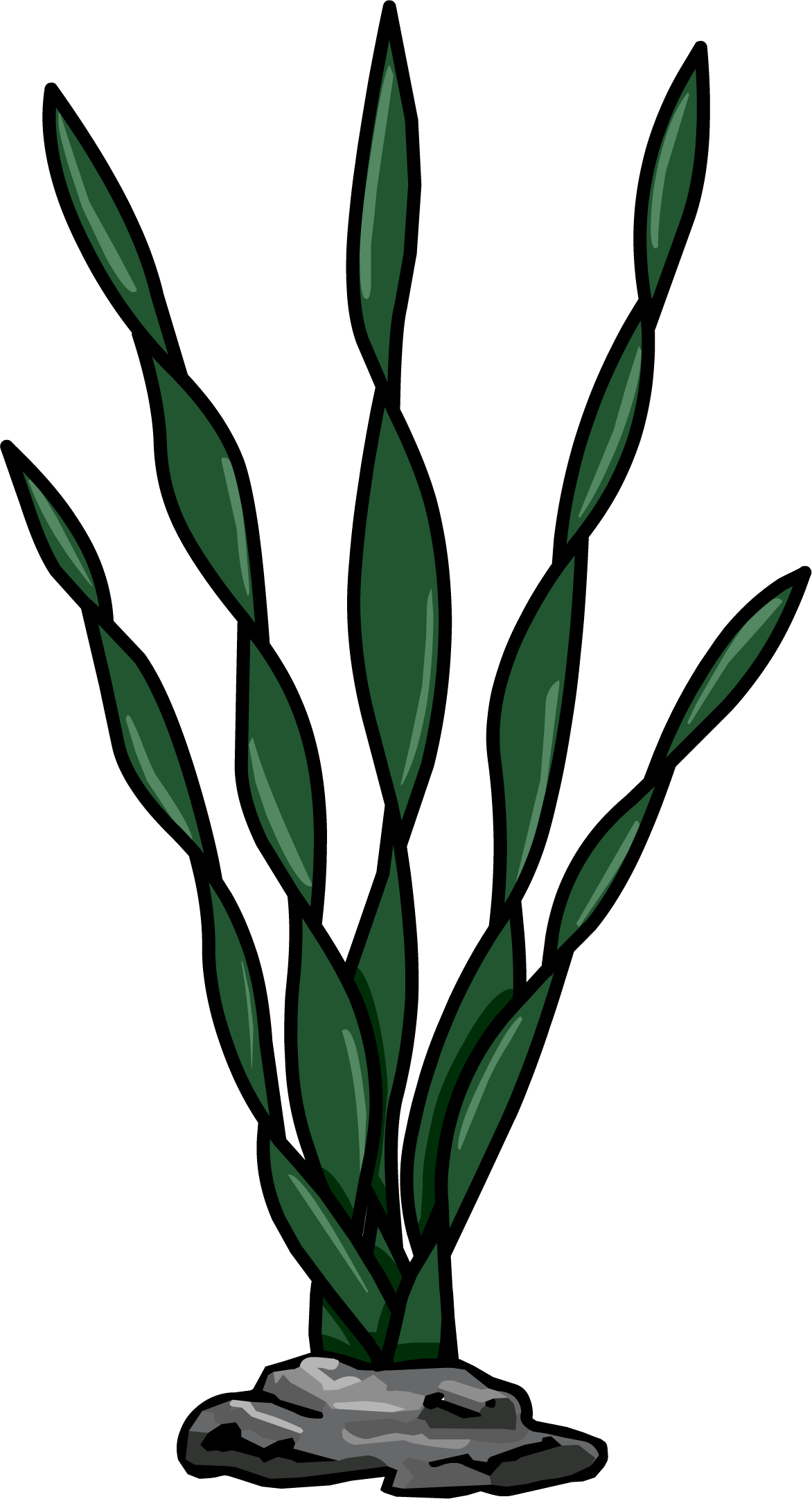 Sea Weed - Png - Club Penguin Seaweed (1172x2163), Png Download