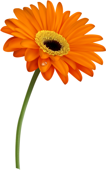 Pin By Ramesh Patil On Jay - Gerbers Png (388x600), Png Download