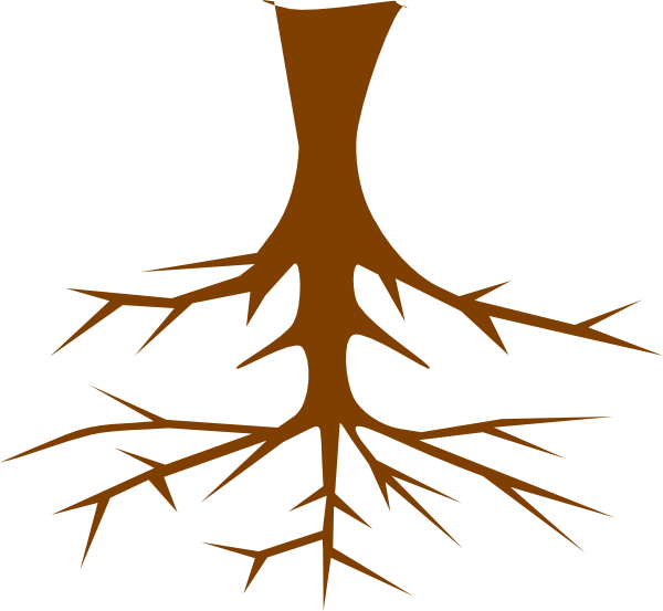 Roots Clipart At Getdrawings - Clipart Images Of Root (600x553), Png Download