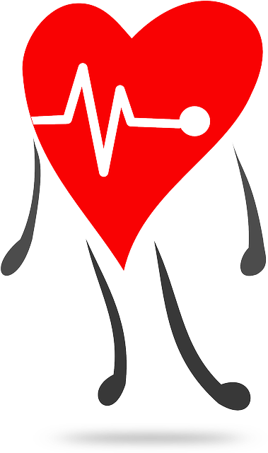 Heart, Love, Signal, Pulse, Person, Heartbeat, Ekg - Health Clipart (388x640), Png Download