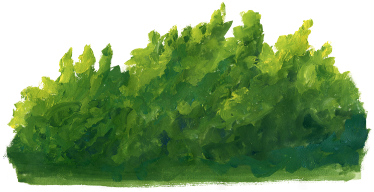 Riez (1100x400), Png Download