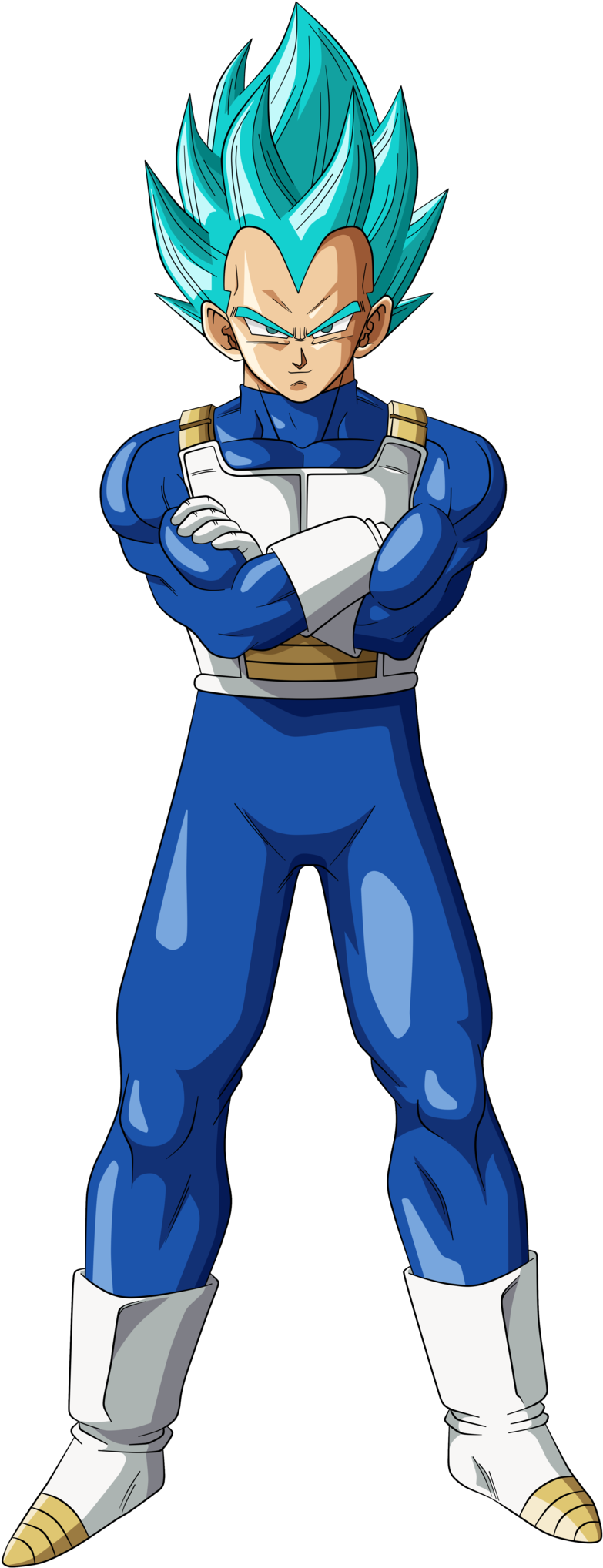 Png - Dragon Ball Z Vegeta Ssj Blue (1024x2048), Png Download