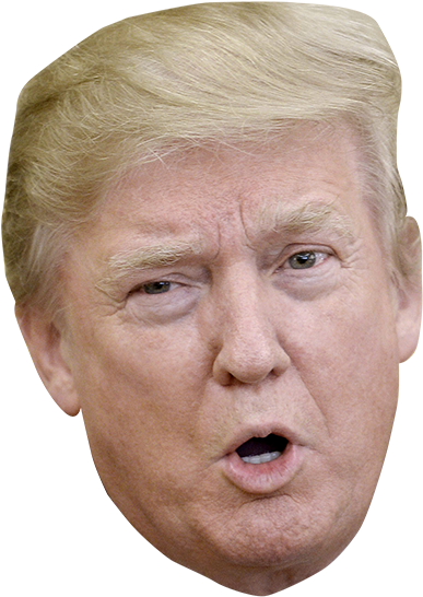 Trump Head Png - Donald Trump (400x559), Png Download
