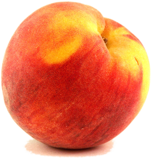 Peach Png No Background (500x518), Png Download