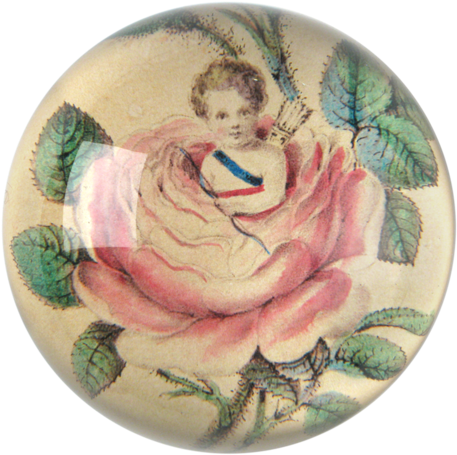 Moss Rose & Cupid - Plate (500x500), Png Download