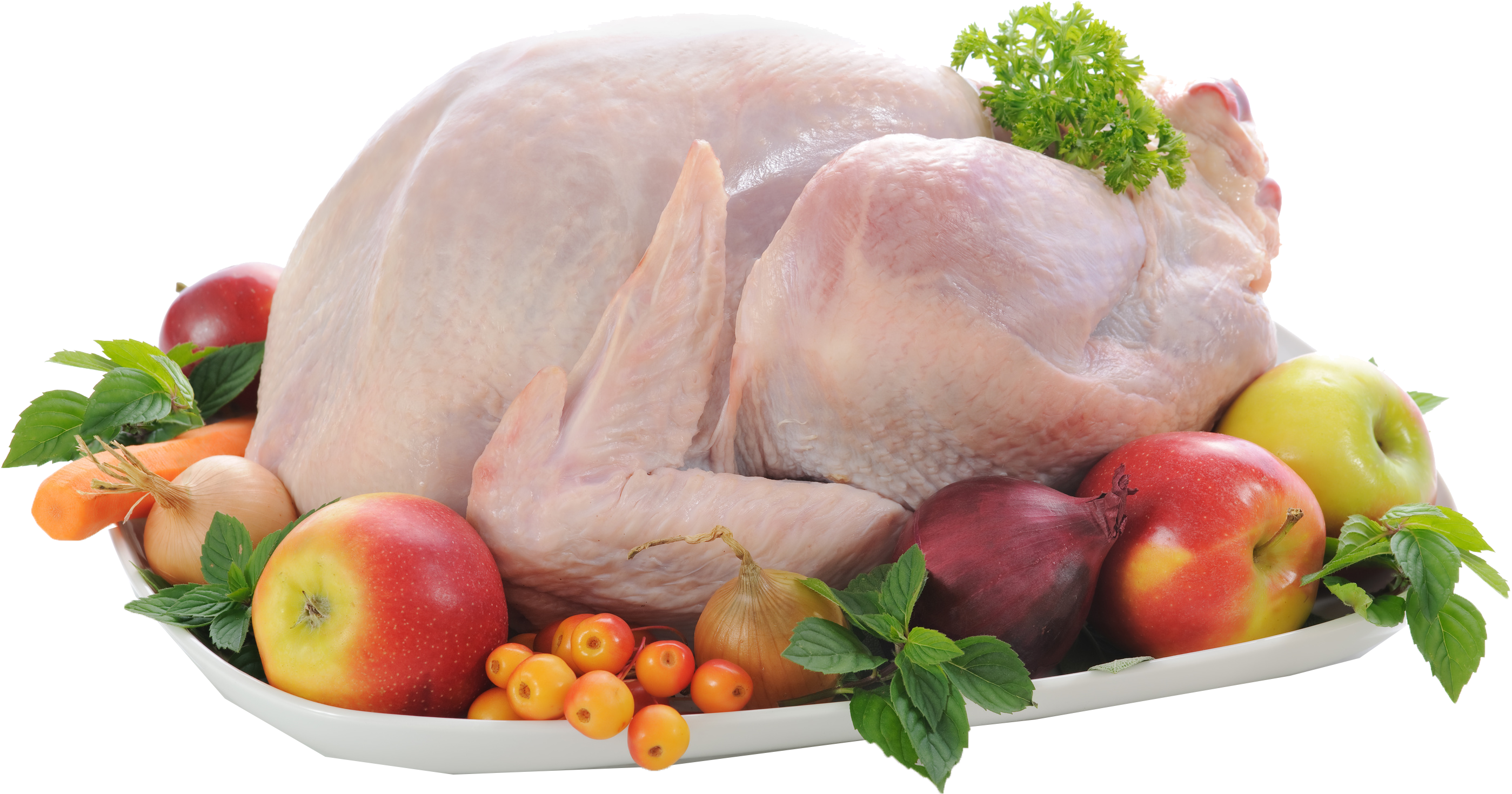 Download Hd Chicken Png Free Commercial Use Images Chicken Meat On Plate Transparent Png Image Nicepng Com