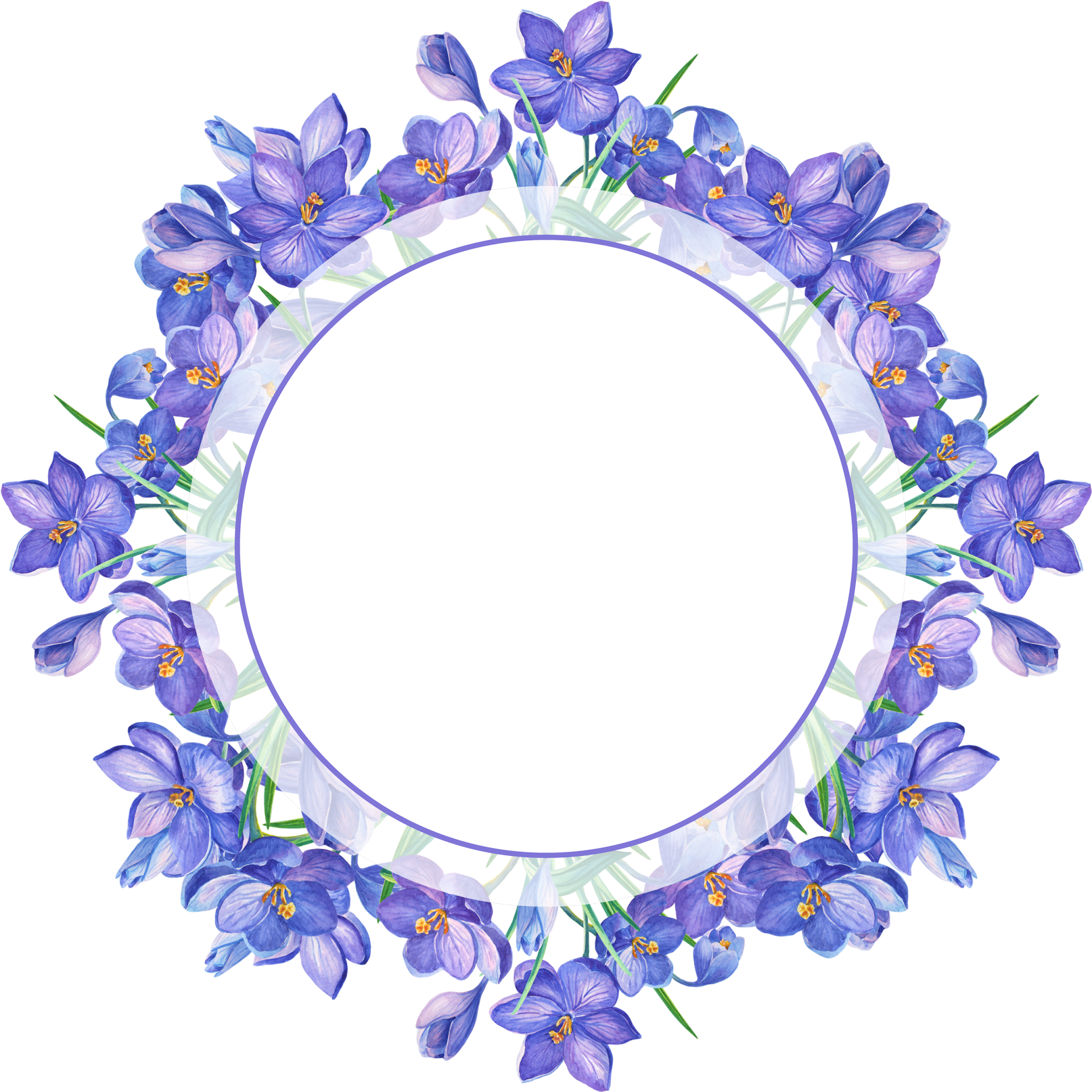 Borders For Paper, Borders And Frames, Watercolor Flowers, - Saffron Flower Frame (1700x1700), Png Download