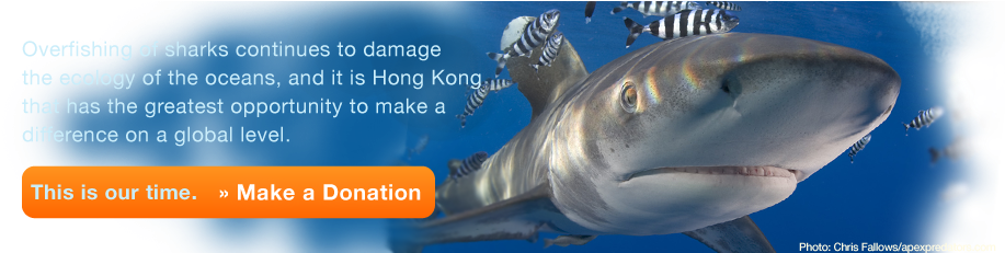 Shop - Bony-fish (940x230), Png Download