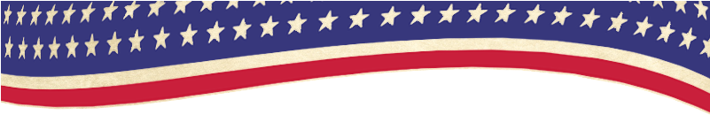 Flag Order Form - Thin Blue Line American Flag - 3 By 5 Foot Flag Honoring (800x200), Png Download