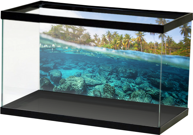 Aquariumvinyl Rockywatersurface (800x800), Png Download