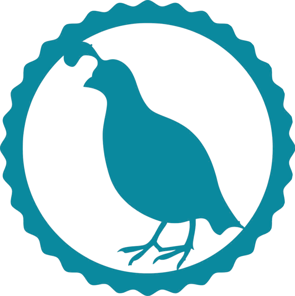 Cute Turkey Png (1000x1002), Png Download