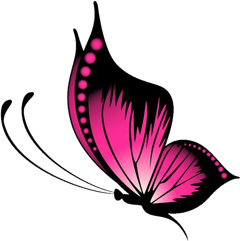 Pink Butterfly Vector Png (500x499), Png Download